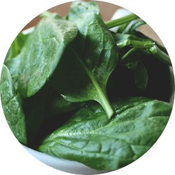 Baby spinach leaves