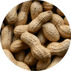 Peanuts