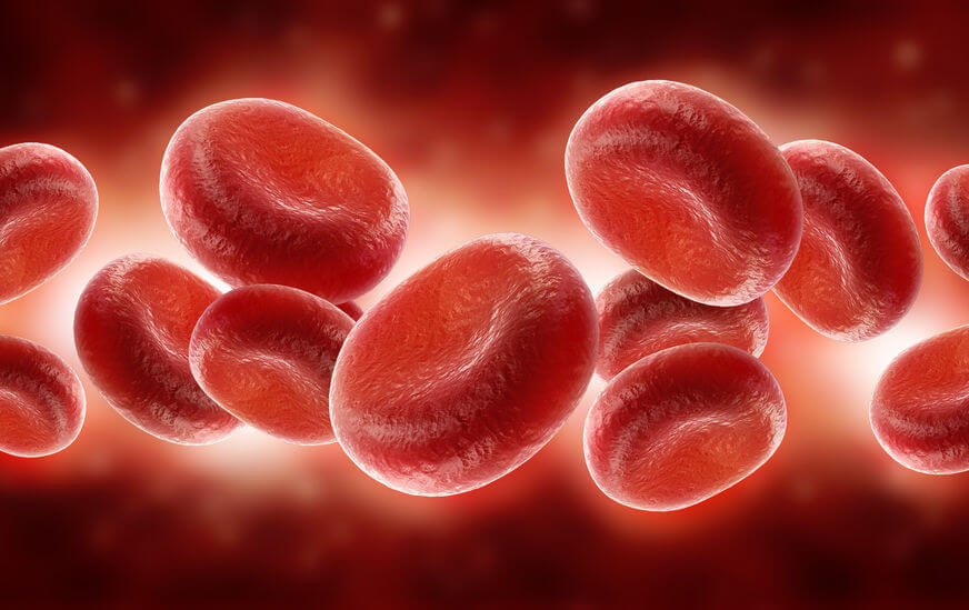 Red blood cells