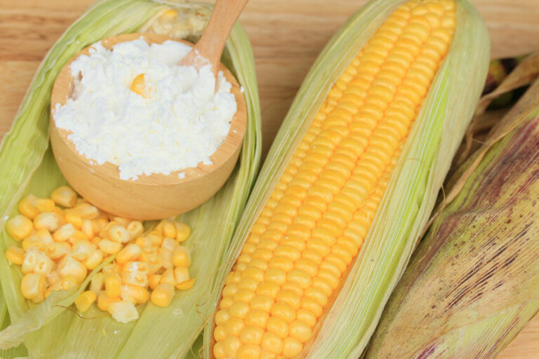 Cornstarch vs Tapioca Flour Here's How They Differ