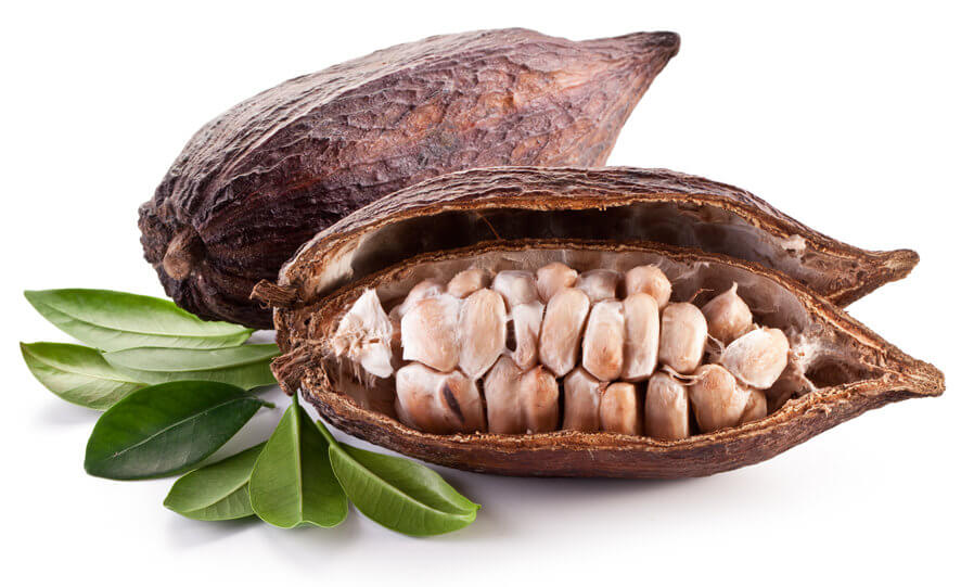 Cacao pods