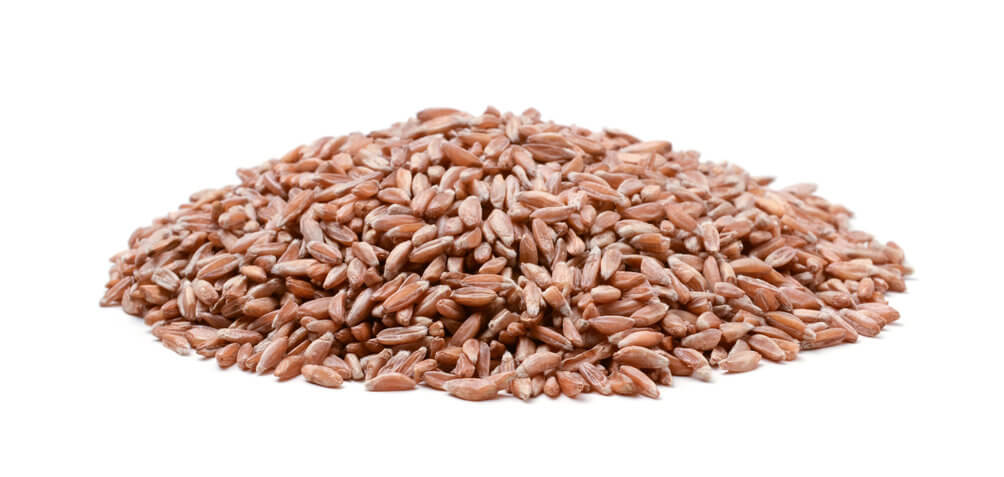 Durum wheat