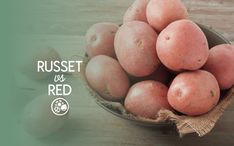Russet Potatoes VS Red Potatoes | 6 Key Differences